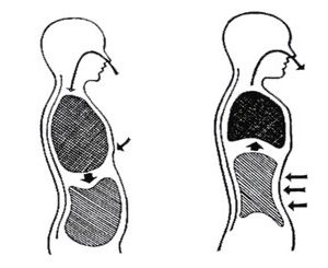 نقس کشیدن دیافراگمی