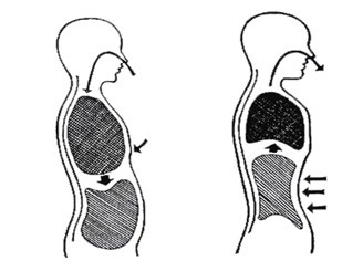نقس کشیدن دیافراگمی